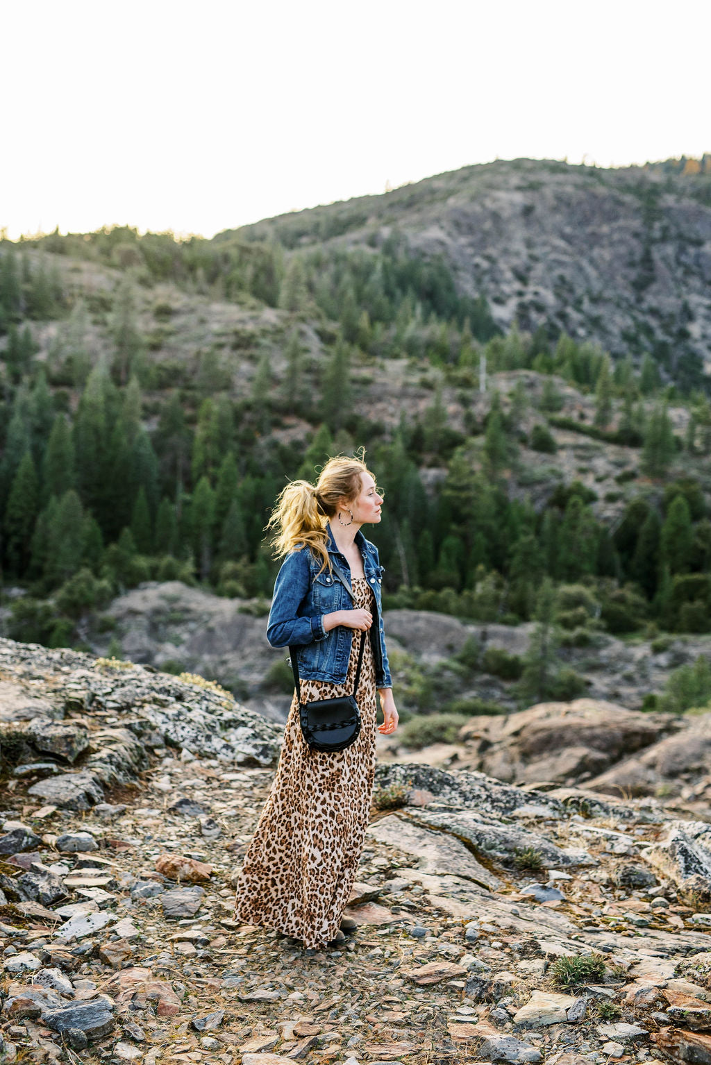 JOPLIN saddle bag